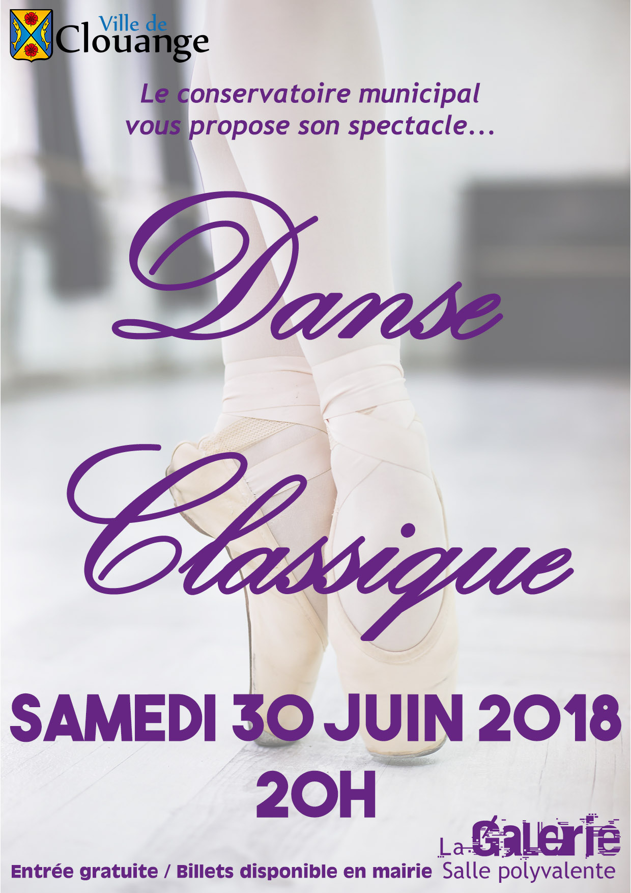 Spectacle de Danse Classique