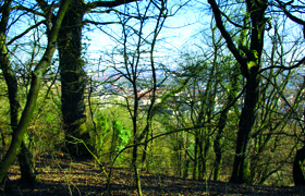 Patrimoine naturel