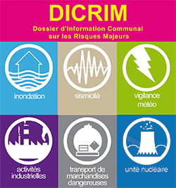 DICRIM