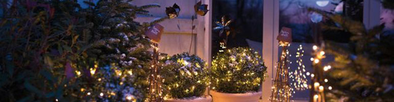 Concours des illuminations de Noël 2023